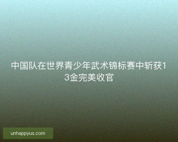 中国队在世界青少年武术锦标赛中斩获13金完美收官